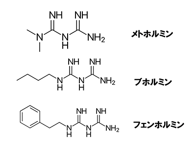 図1 ビグアナイド系化合物