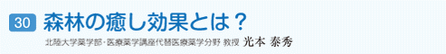 森林の癒し効果とは？